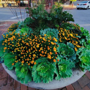 fall-planter-1
