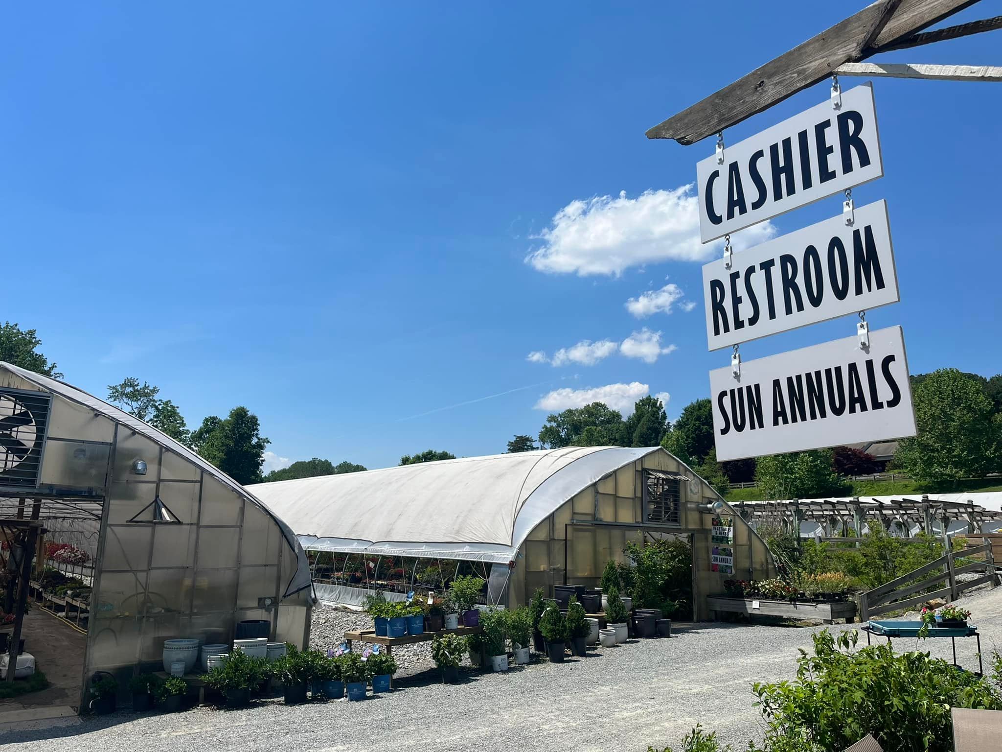 Tudbink's greenhouses with signs for cashier, restrooms, and sun annuals.