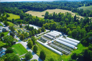 Birds eye view of Tudbinks Farm and Greenhouses