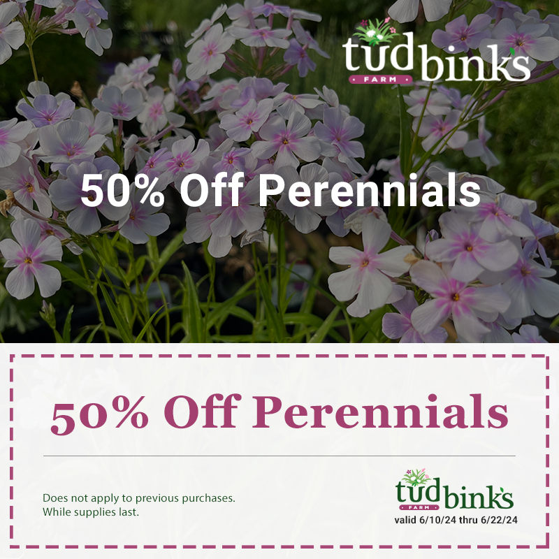 Promo: 50% Off Perennials - Tudbinks