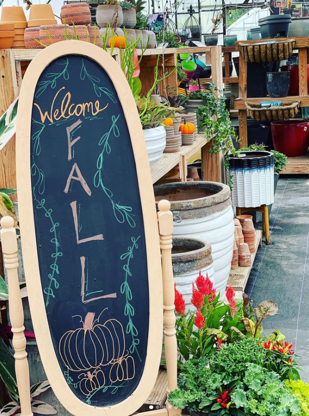 Oval chalkboard sign in front of pots and plants that says Welcome Fall