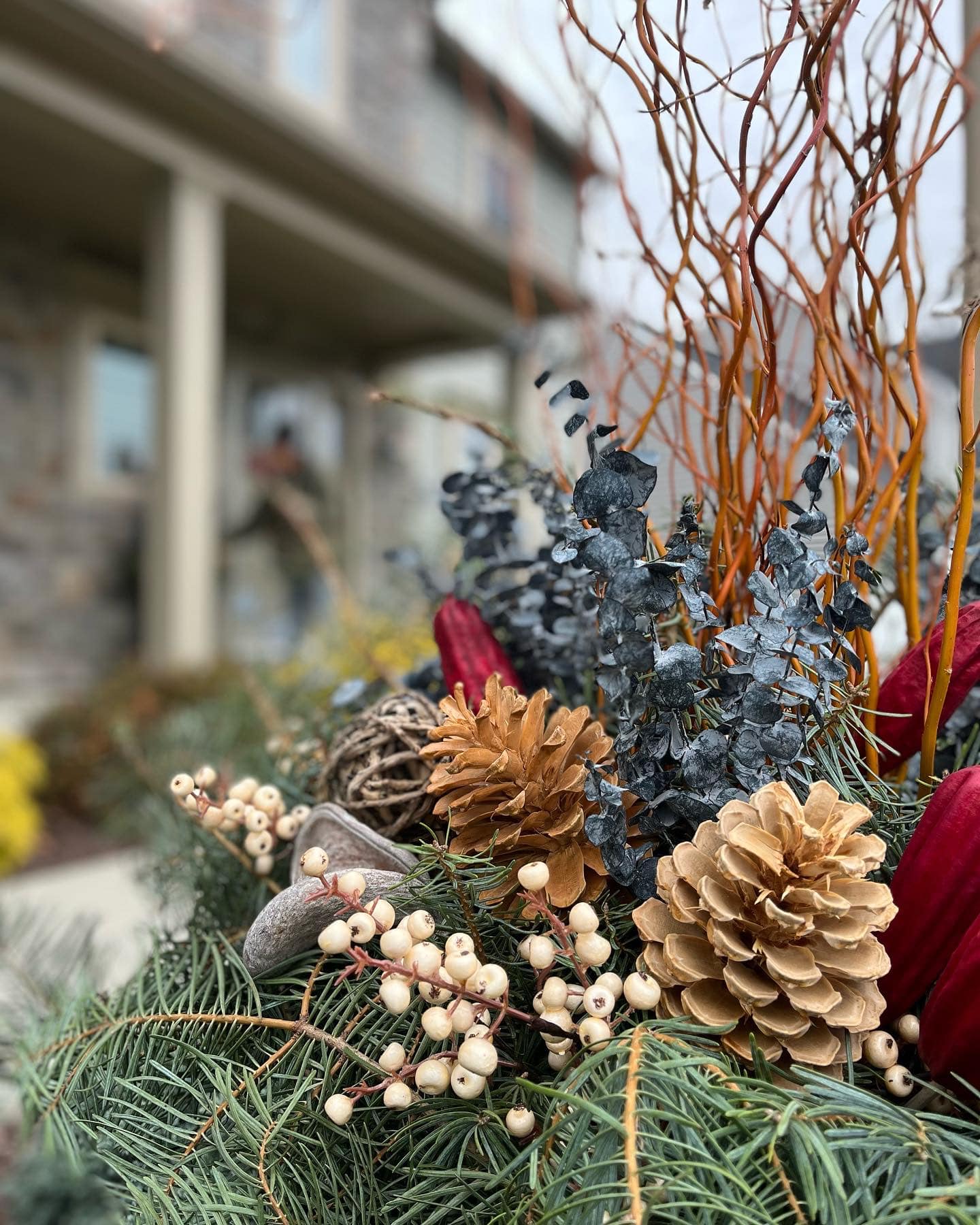 Close up of a winter planter with pine cones, eucalyptus, pine branches, and other winter greenery.