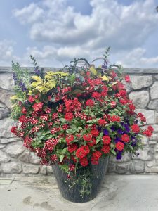 Large summer planter with red flowers, purple flowers, and an assortment of greenery