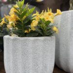 Tudbinks Planter