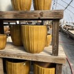 Tudbinks Planters