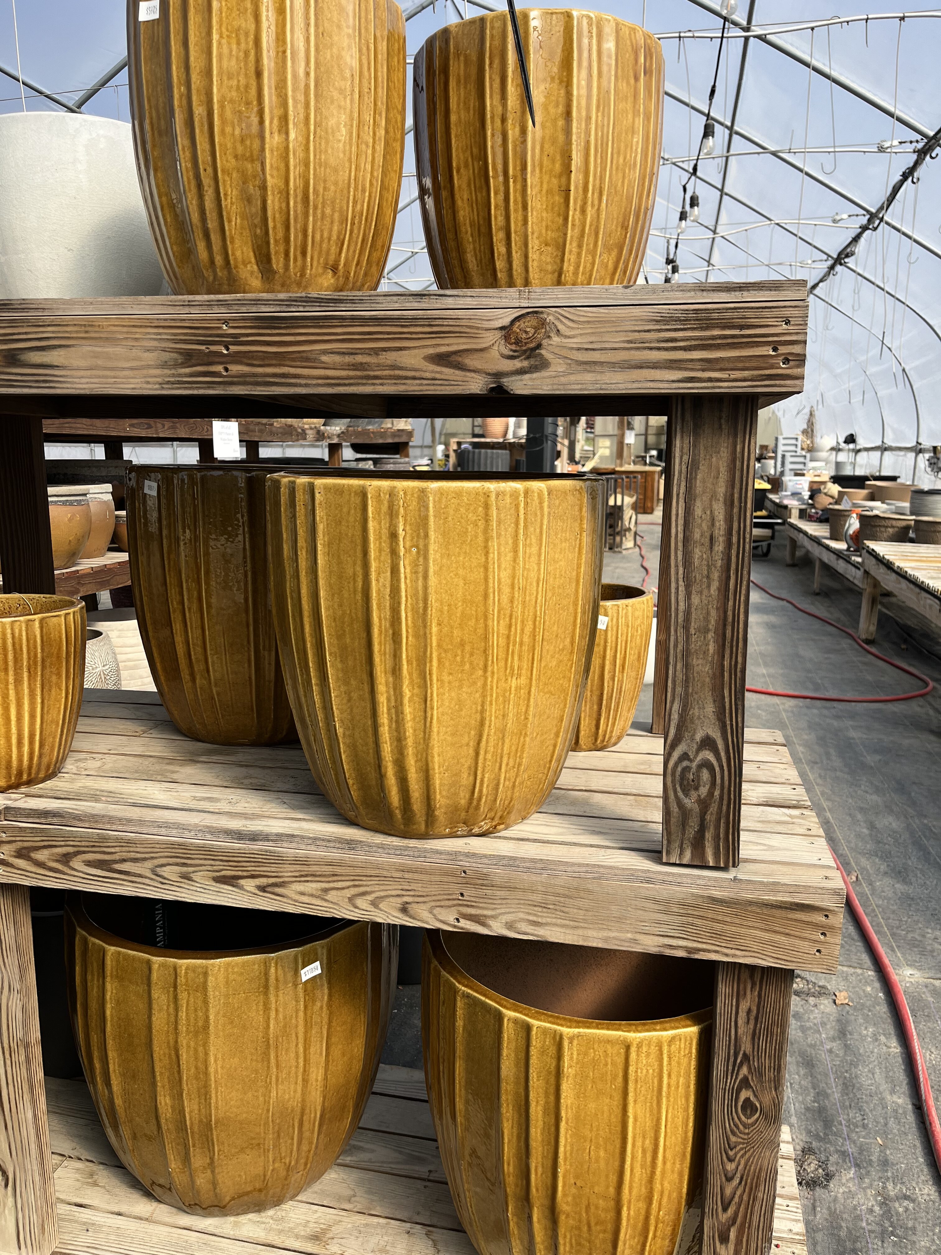 Wooden greenhouse display with 3 shelves of empty mustard yellow ceramic planters.
