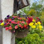 Hanging Flower Basket