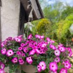 Hanging Flower Basket