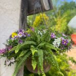 Hanging Flower & Fern Basket