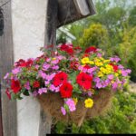 Hanging Flower Basket