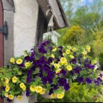 Hanging Flower Basket
