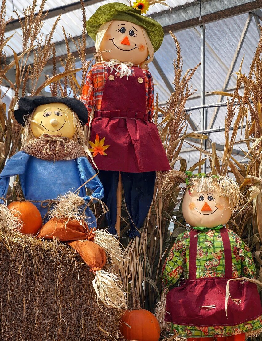 3 scarecrows in various colored clothing among straw bales, pumpkins, and corn stalks.