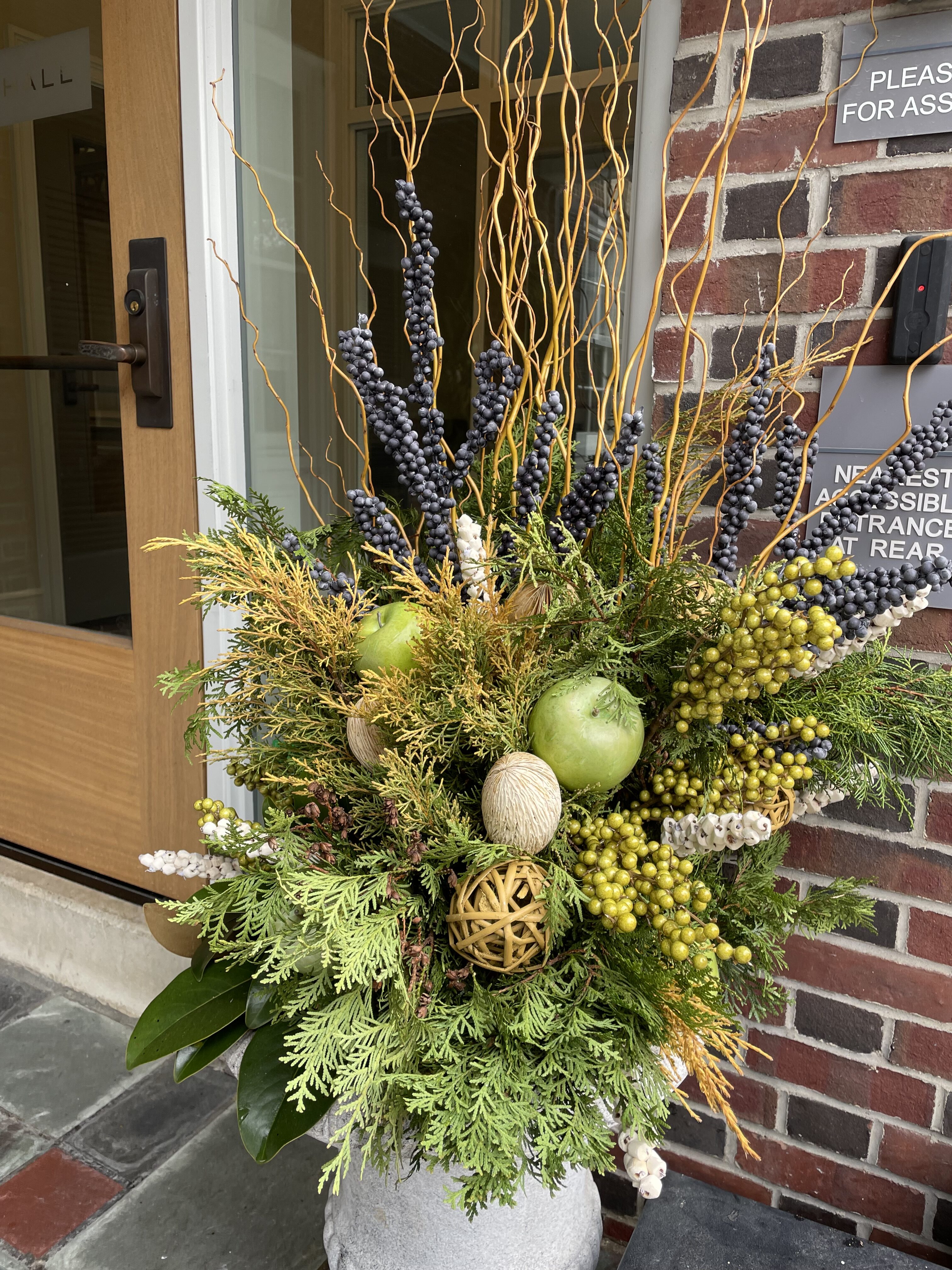 winter planter with green and yellow foliage
