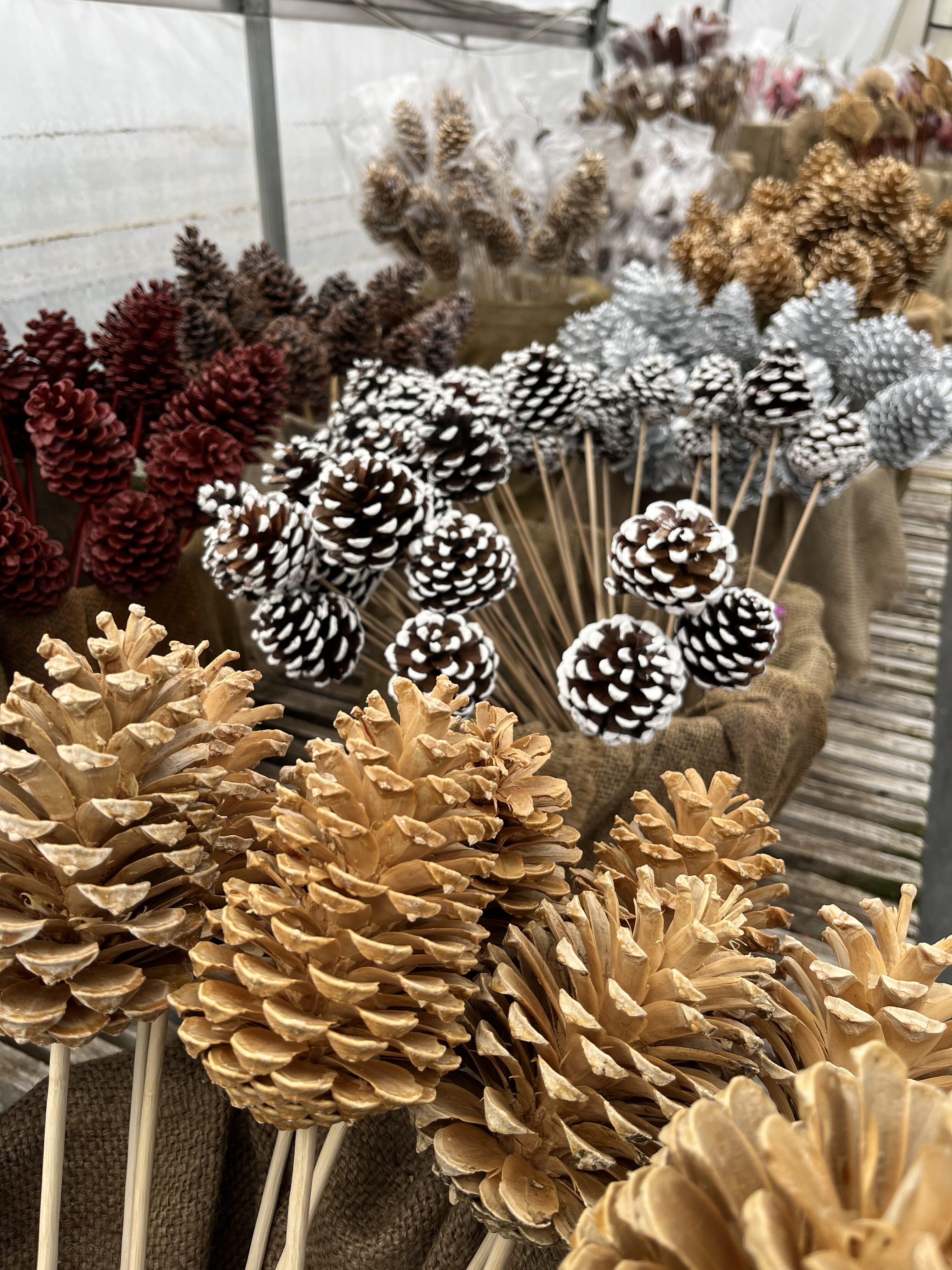 various pine cone winter decorations