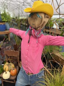 make your own scarecrow with pink shirt and yellow hat