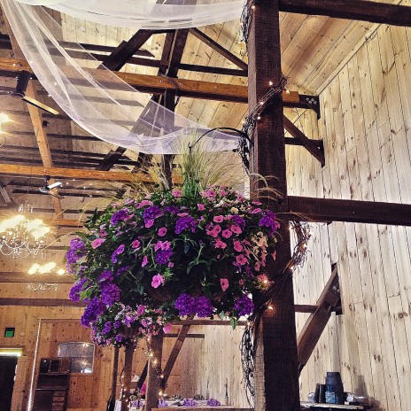 Planting Lancaster… And Your Wedding