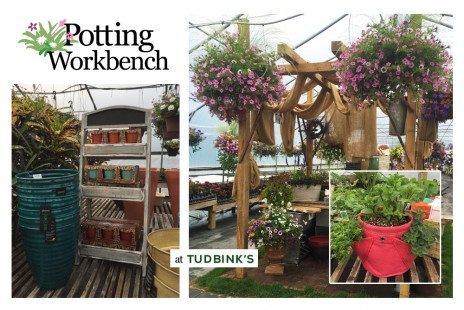 Tudbink’s makes potting easy – and provides free soil!