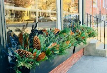 Residential Planters