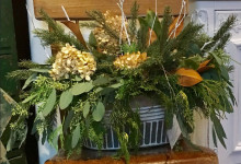 planterwinter
