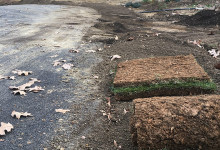 Landscapieng