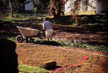 Landscapingm