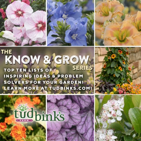 Tudbink’s “Know & Grow” Series