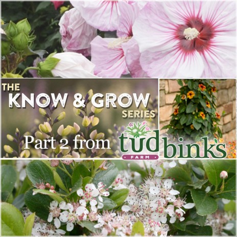 Tudbink’s “Know & Grow” Series – Part 2!