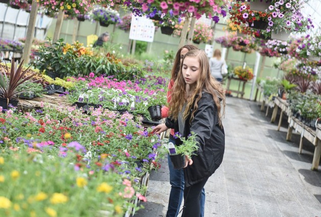 Planter Workshop Especially for Kids