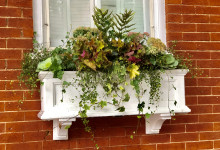 White fall window planter
