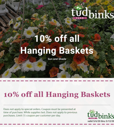 promotion basket