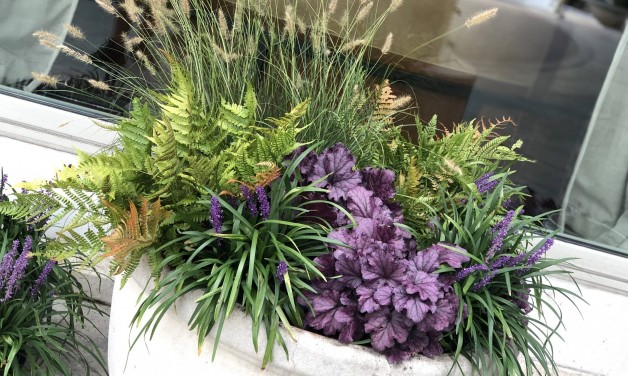 Fall Planter Workshop – September 19