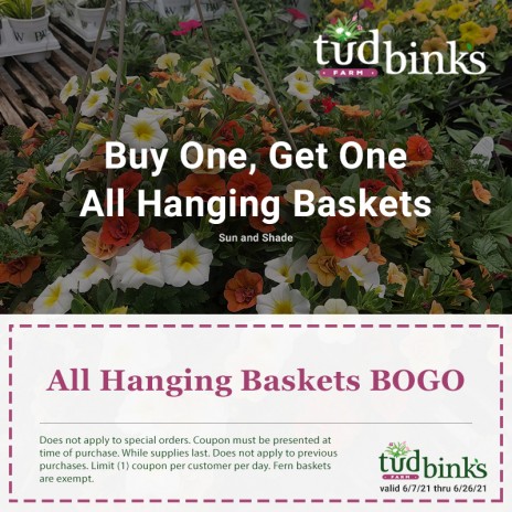 Hanging Baskets Promotion
