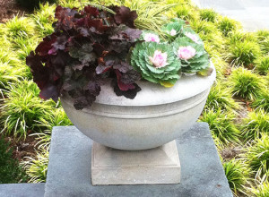 concrete planter with flowers and purple plants
