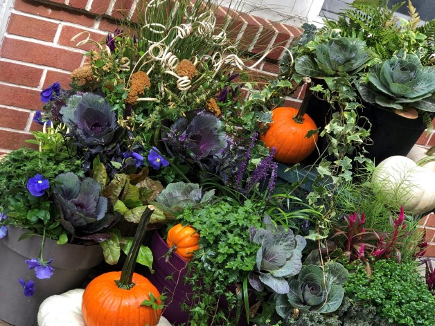 Fall Planter Workshop – September 11