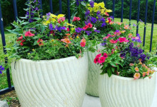 Spring_Summer_3