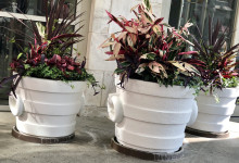 Tudbinks Custom White Planter Arrangements