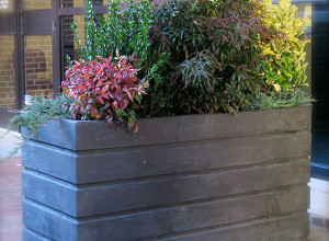 unique commercial planter with shrubs inside