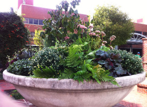 large concrete commercial planter with shrubs, flowers, and greenery planted inside