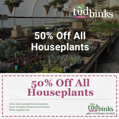 50% Off All Houseplants Winter Sale