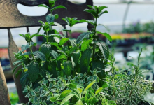 Tudbink's Herb Planter