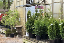 Greenhouse Entrance