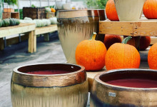 Ceramic Fall Planters