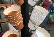 Plastic Planters