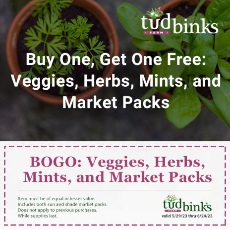 BOGO: Veggies, Herbs, Mints, & Market Packs