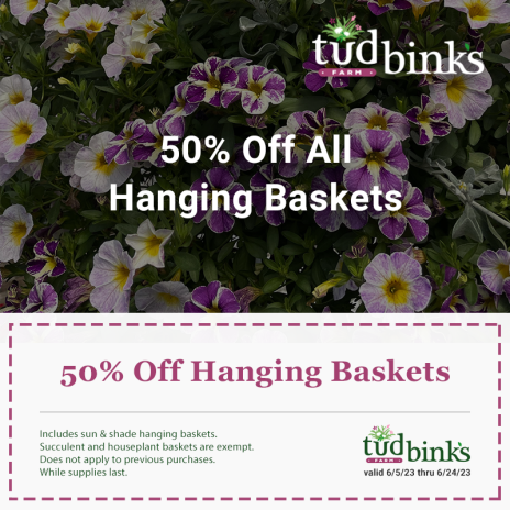 Promo: 50% Off All Hanging Baskets