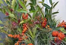 Fall Planter