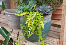 Fall Planter