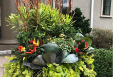 Fall Planter