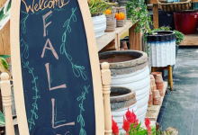 Tudbinks Farm Fall Season