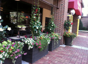 multiple commercial planters in front of a restaurant